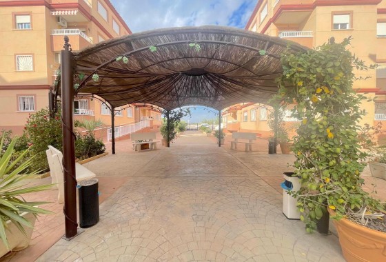 Revente - Appartement - Algorfa