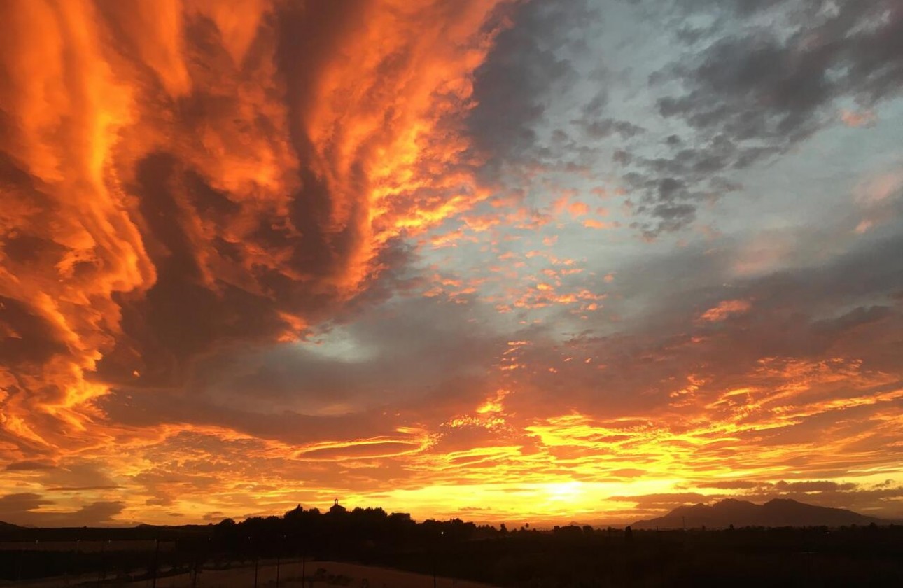 Revente - Appartement - Algorfa