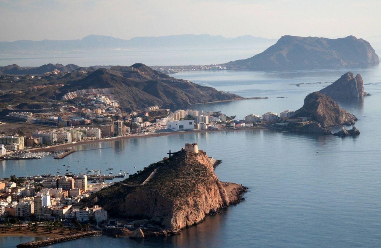 Nouvelle construction - Villa - Águilas - Los Jardines