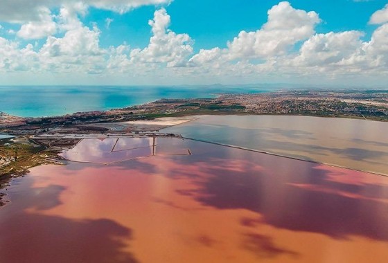 Reventa - Apartamento / piso - Torrevieja - La Mata