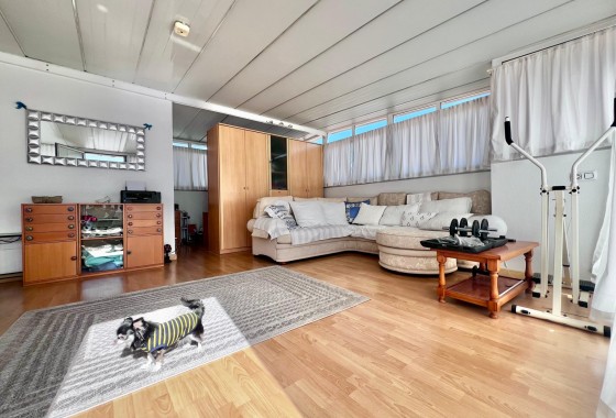 Revente - Villa - Orihuela Costa - La Zenia