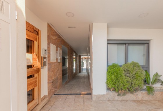 Revente - Appartement - Torrevieja - Los Frutales