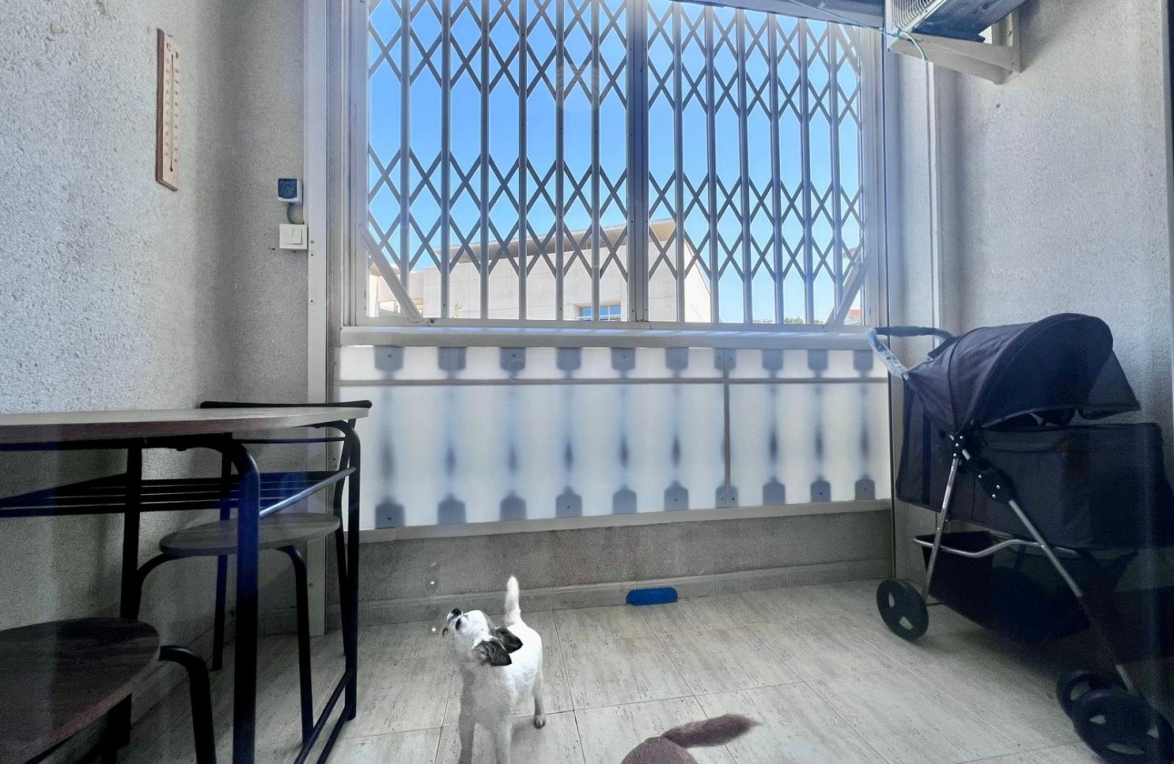 Resale - Apartment / flat - Torrevieja - Acequion