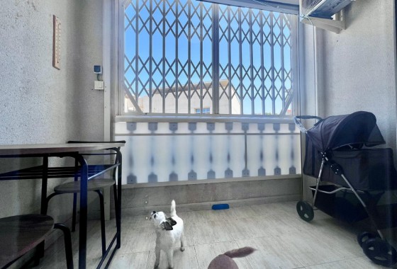 Resale - Apartment / flat - Torrevieja - Acequion