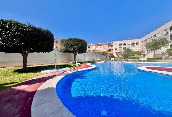 Resale - Apartment / flat - Torrevieja - Acequion