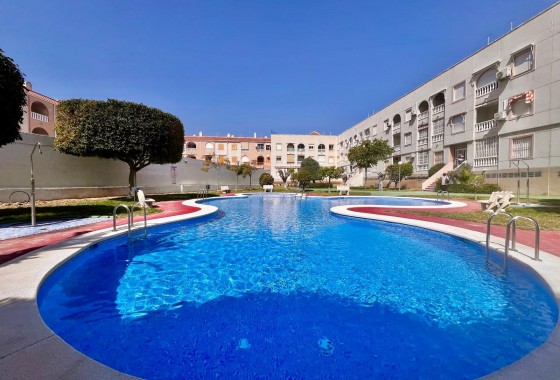 Resale - Apartment / flat - Torrevieja - Acequion