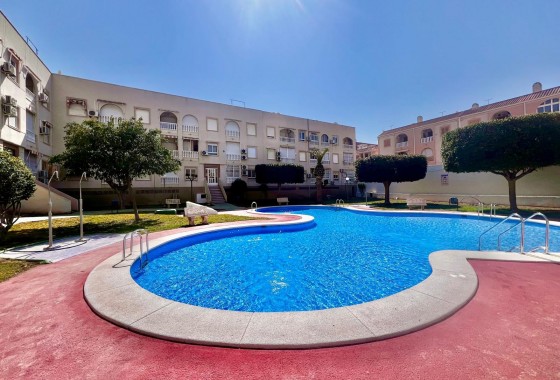 Resale - Apartment / flat - Torrevieja - Acequion