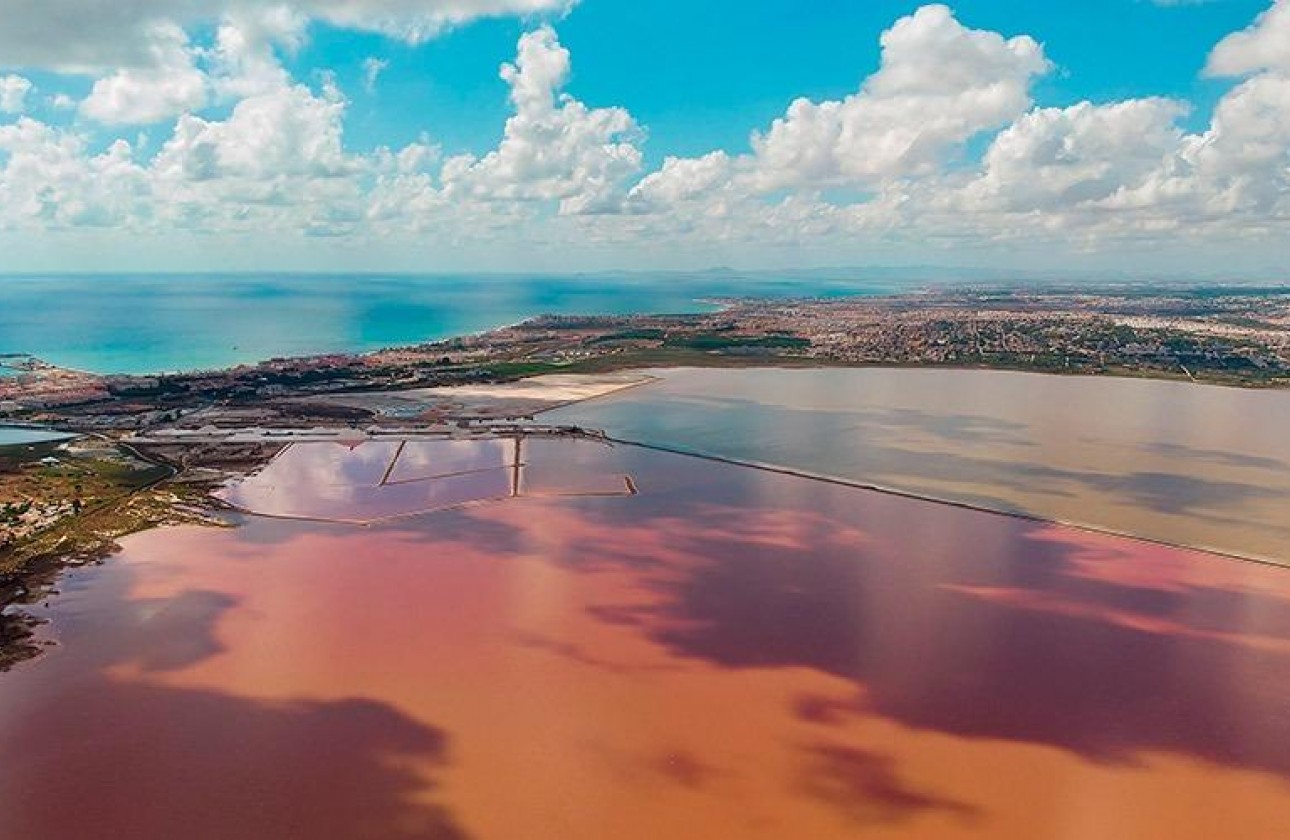 Resale - Apartment / flat - Torrevieja - La Mata