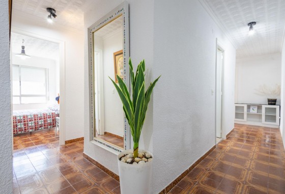 Revente - Appartement - Torrevieja - Playa del Acequión
