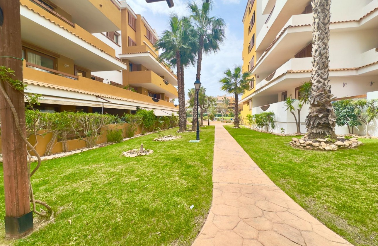 Revente - Appartement - Torrevieja - Punta prima
