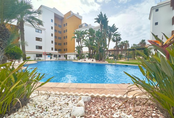 Revente - Appartement - Torrevieja - Punta prima