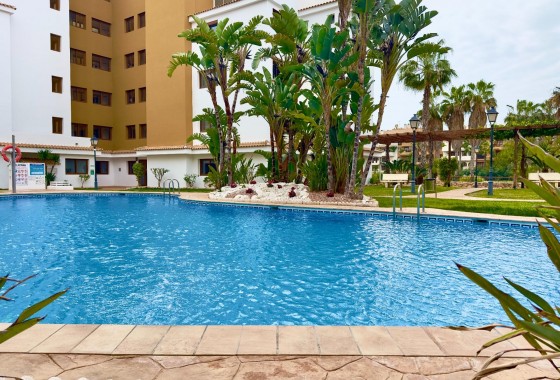 Revente - Appartement - Torrevieja - Punta prima