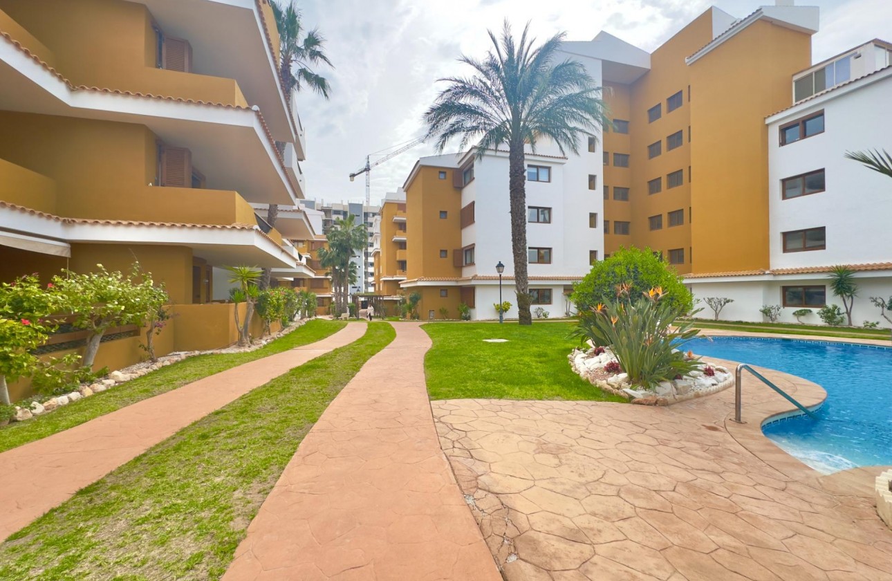 Revente - Appartement - Torrevieja - Punta prima