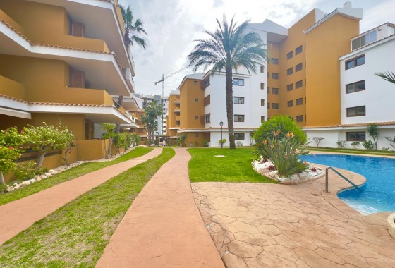 Revente - Appartement - Torrevieja - Punta prima