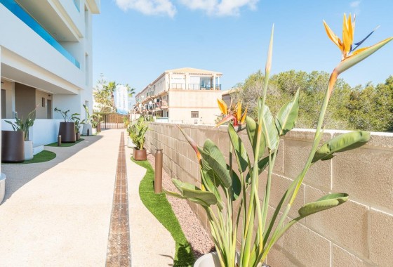 Location à long terme - Appartement - Orihuela Costa - Playa Flamenca