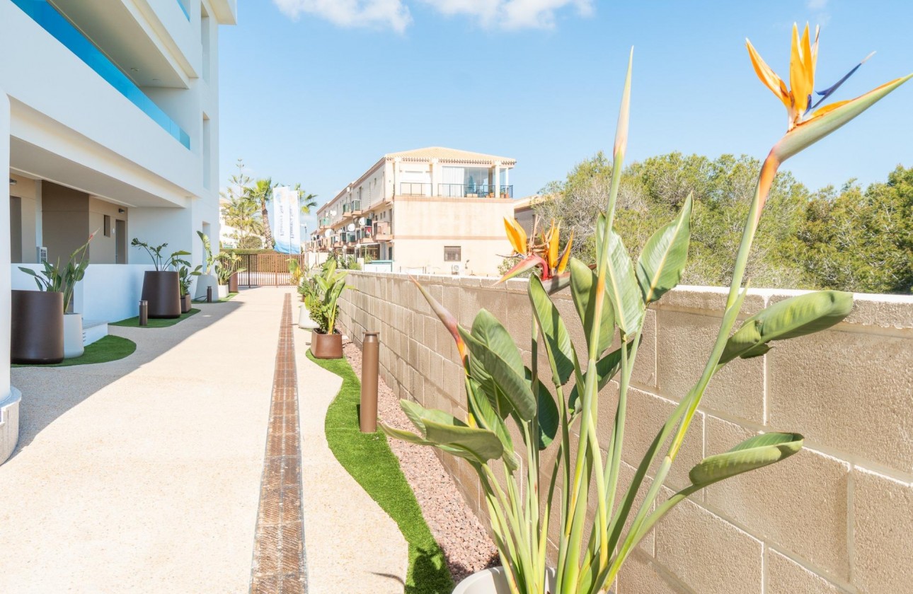Location à long terme - Appartement - Orihuela Costa - Playa Flamenca