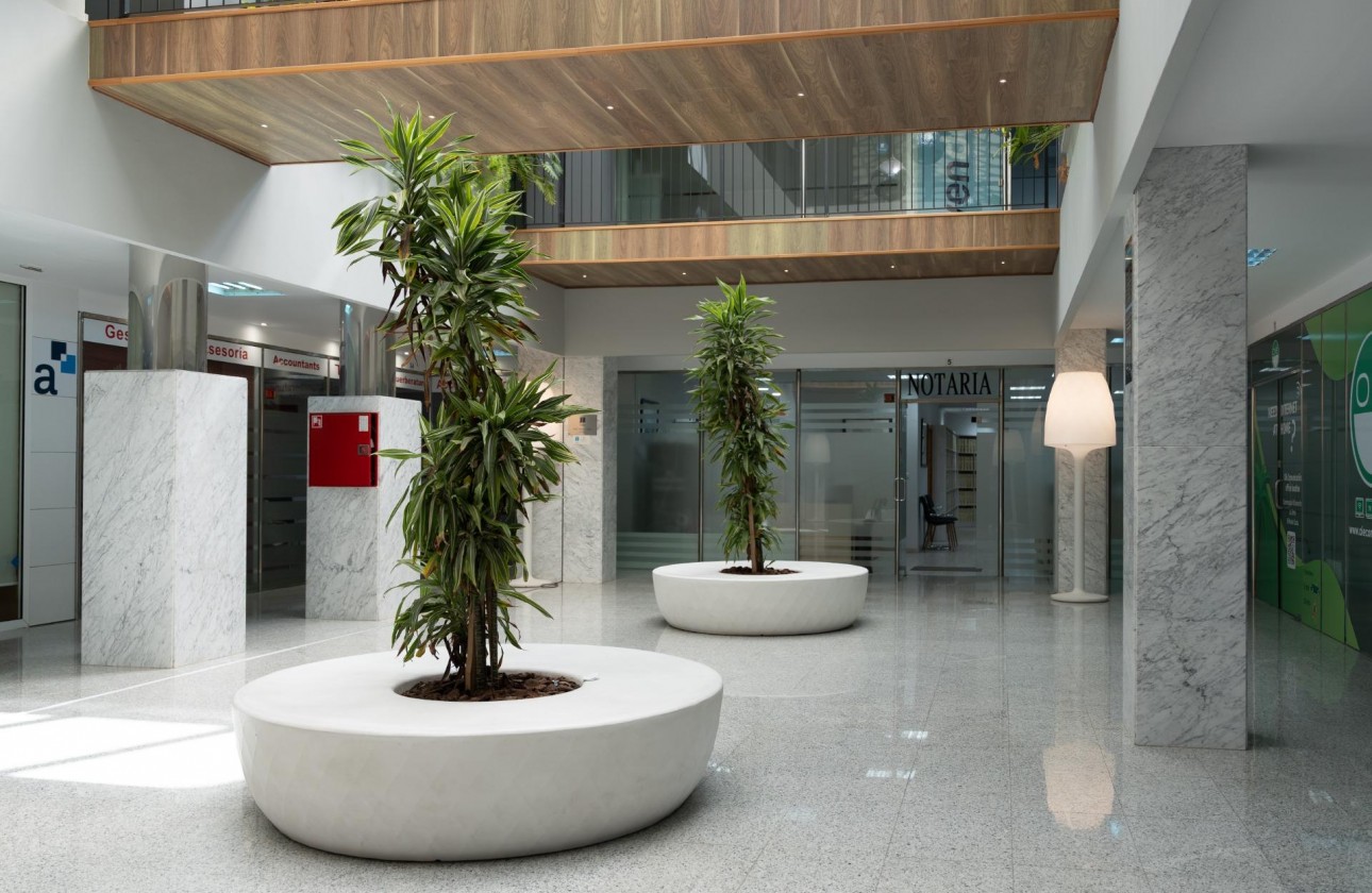 Location à long terme - Commercial - Orihuela Costa - Playa Flamenca