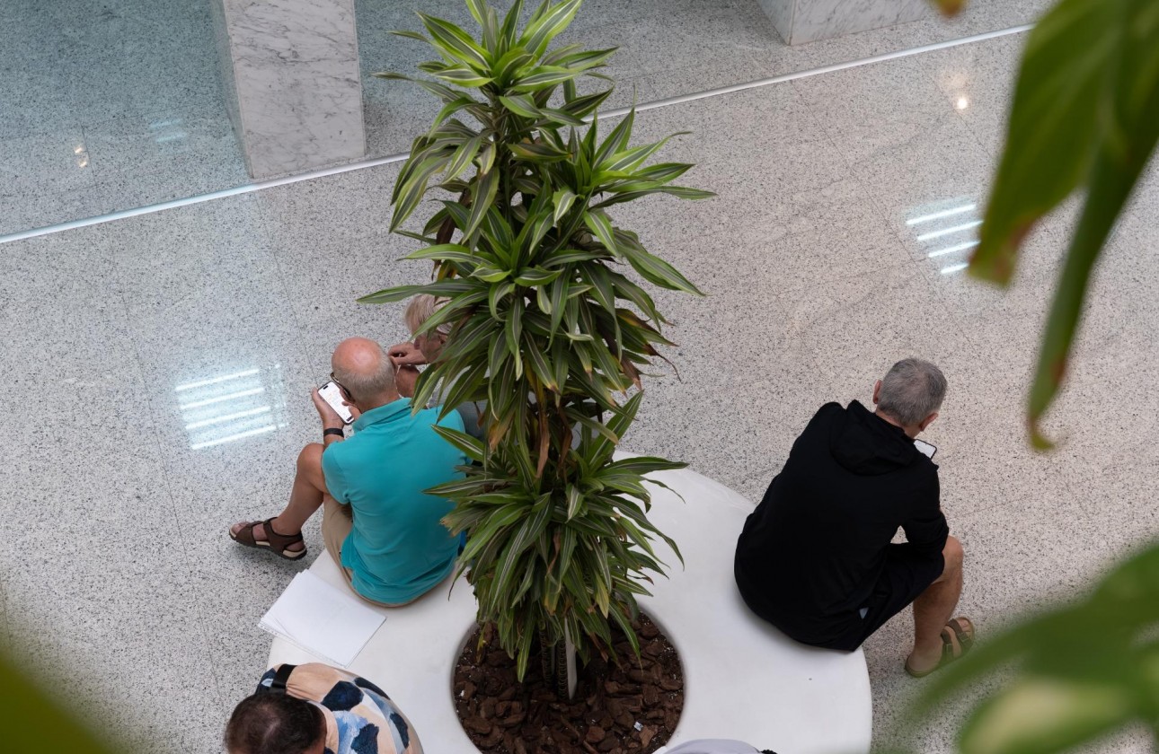 Location à long terme - Commercial - Orihuela Costa - Playa Flamenca