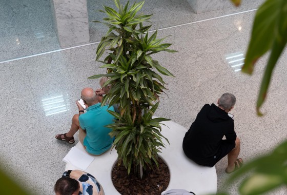 Location à long terme - Commercial - Orihuela Costa - Playa Flamenca