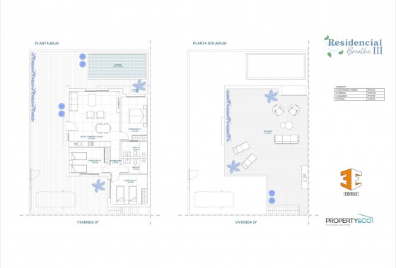 Nouvelle construction - Villa - balsicas