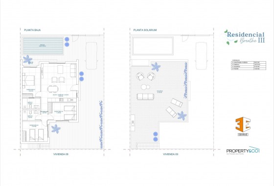 Nouvelle construction - Villa - balsicas