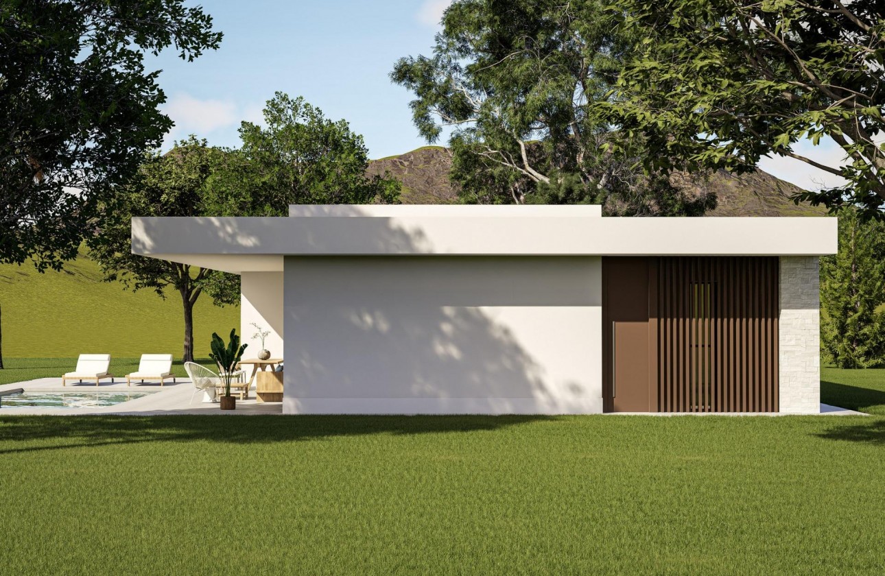 Nouvelle construction - Villa - Pinoso - Lel