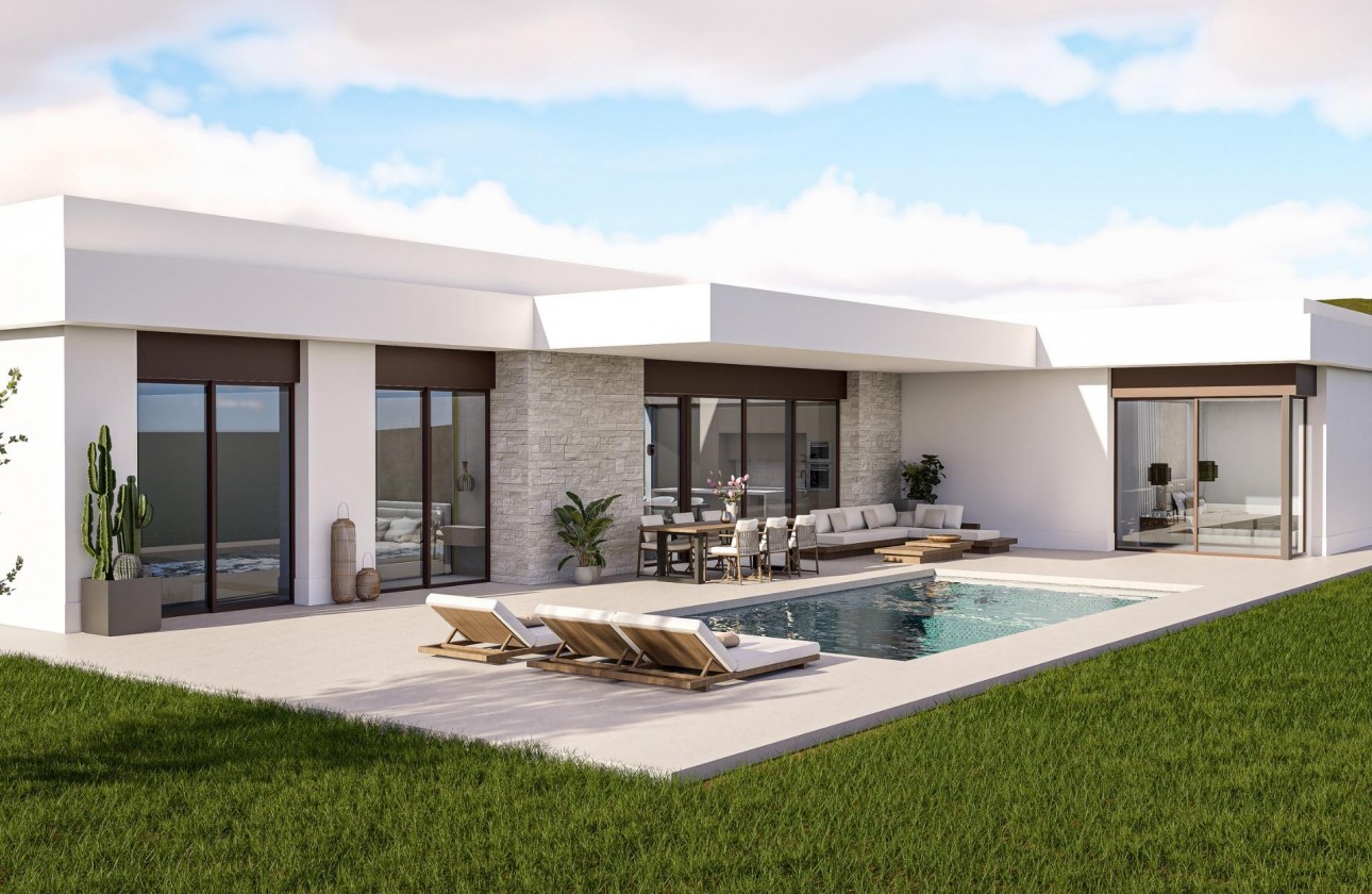 Nouvelle construction - Villa - Pinoso - Lel