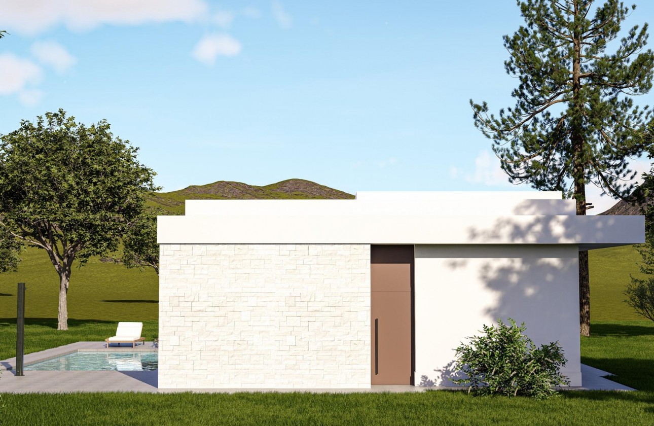 Nouvelle construction - Villa - Pinoso - Lel