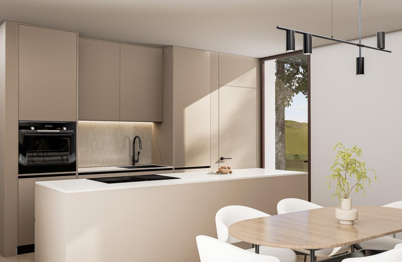 Nouvelle construction - Villa - Pinoso - Lel