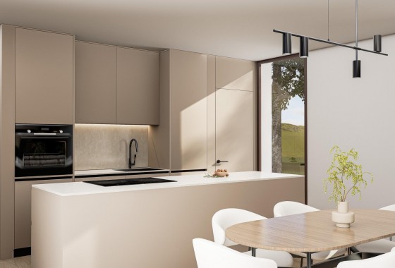 Nouvelle construction - Villa - Pinoso - Lel