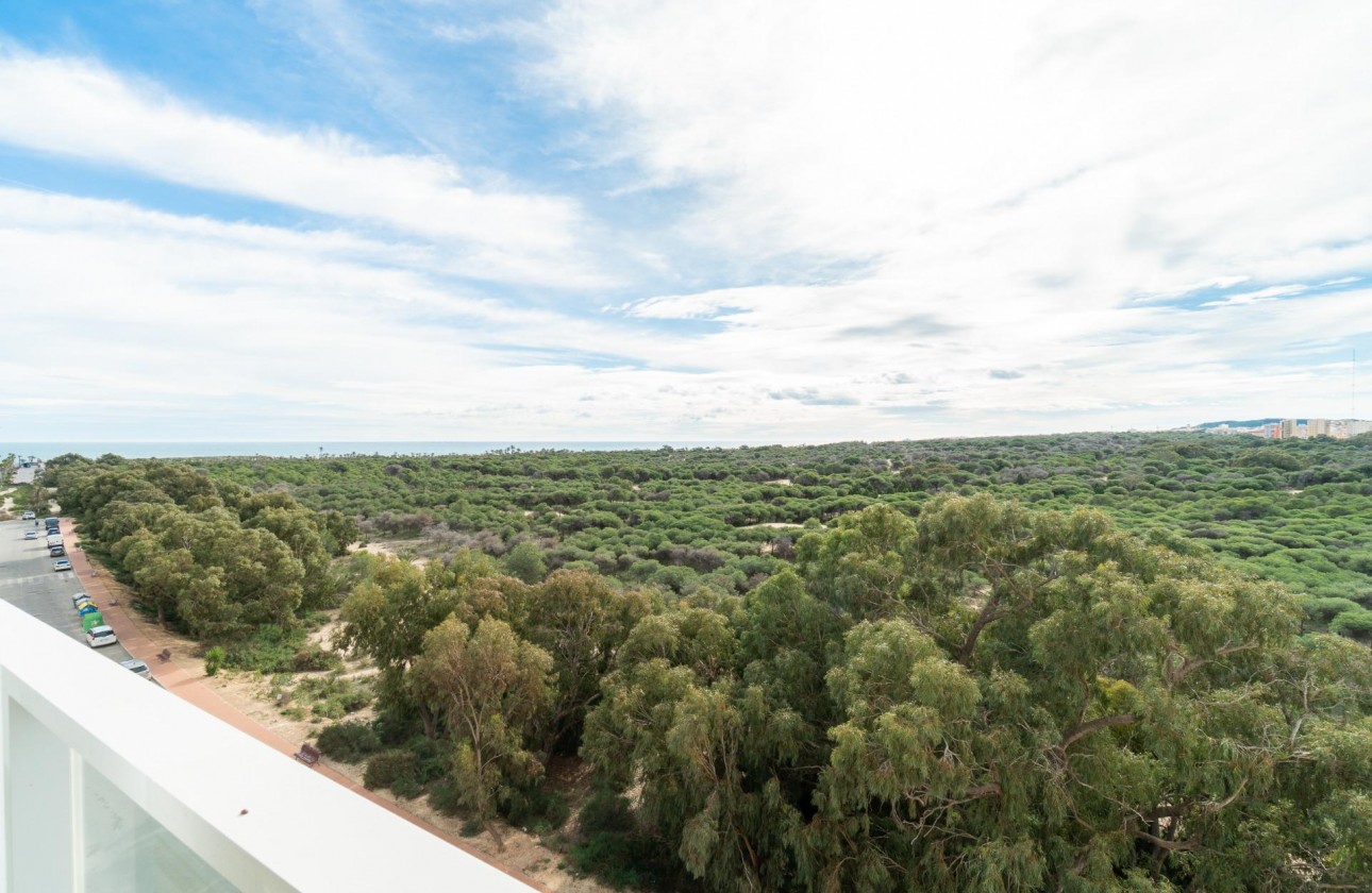 Revente - Appartement - Guardamar del Segura - Puerto Deportivo