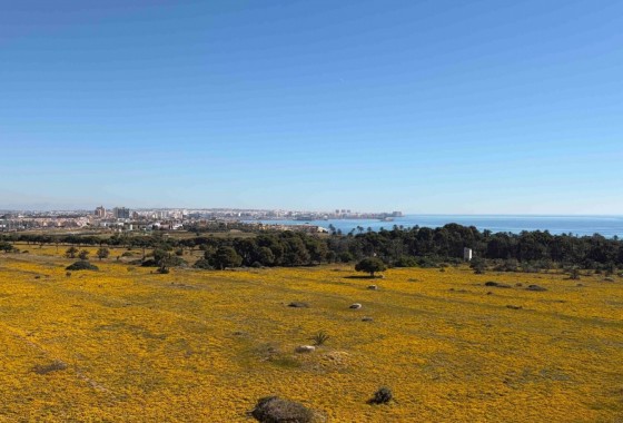 Revente - Appartement - Orihuela Costa - Punta Prima