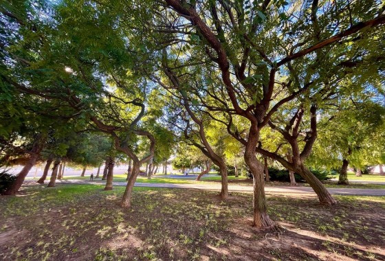 Resale - Villa - Torrevieja - Calas blanca