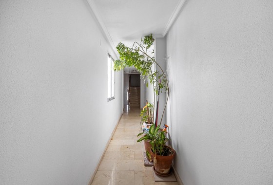 Revente - Attique - Torrevieja - Playa del cura