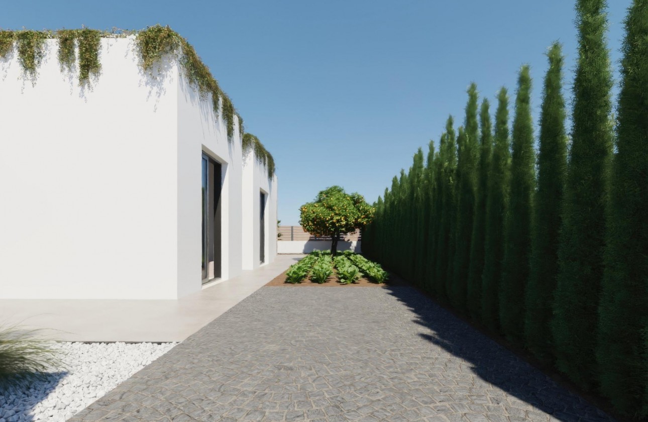 Nouvelle construction - Villa - Fuente Álamo - Hacienda del Alamo