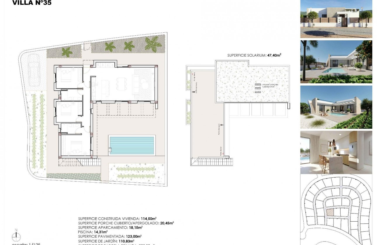Nouvelle construction - Villa - Fuente Álamo - Hacienda del Alamo