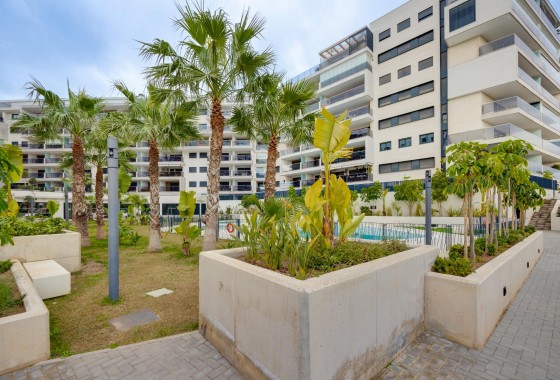 Revente - Atico - Orihuela Costa - Campoamor