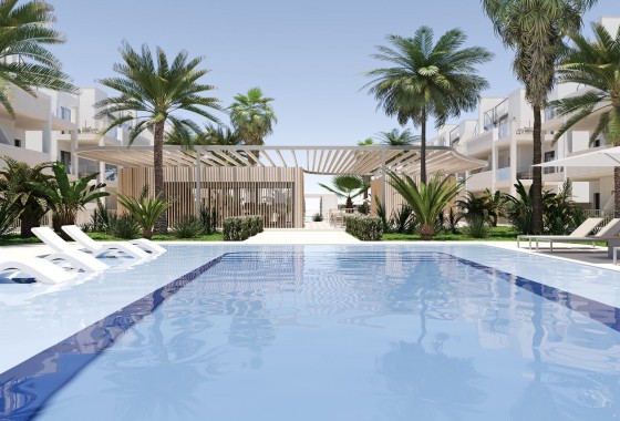 Nouvelle construction - Appartement - san cayetano