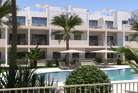 Nouvelle construction - Appartement - san cayetano