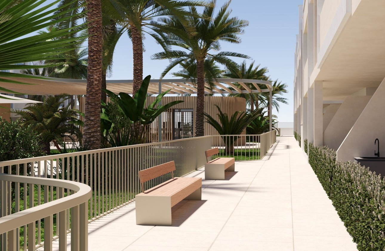 Nouvelle construction - Appartement - san cayetano