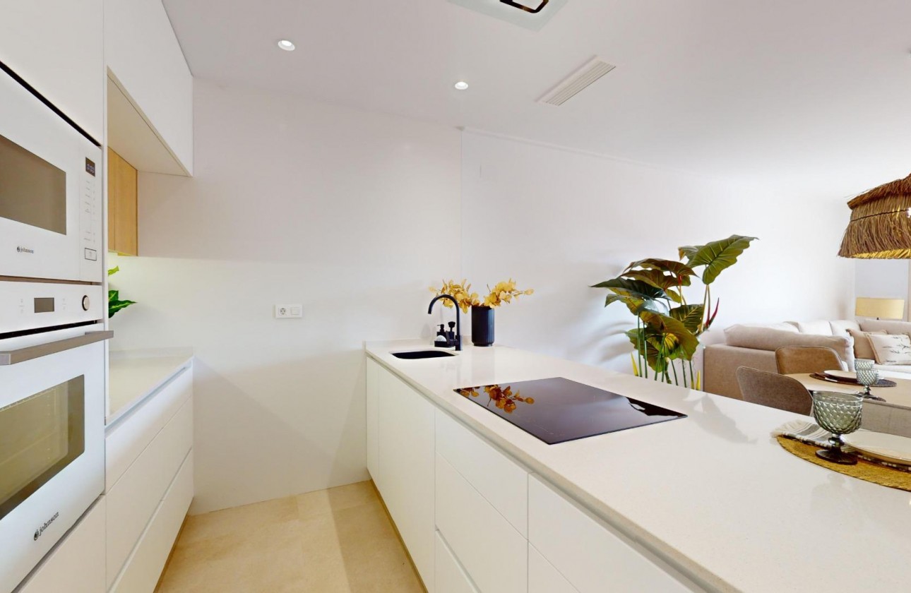 Nouvelle construction - Attique - Guardamar del Segura - EL RASO