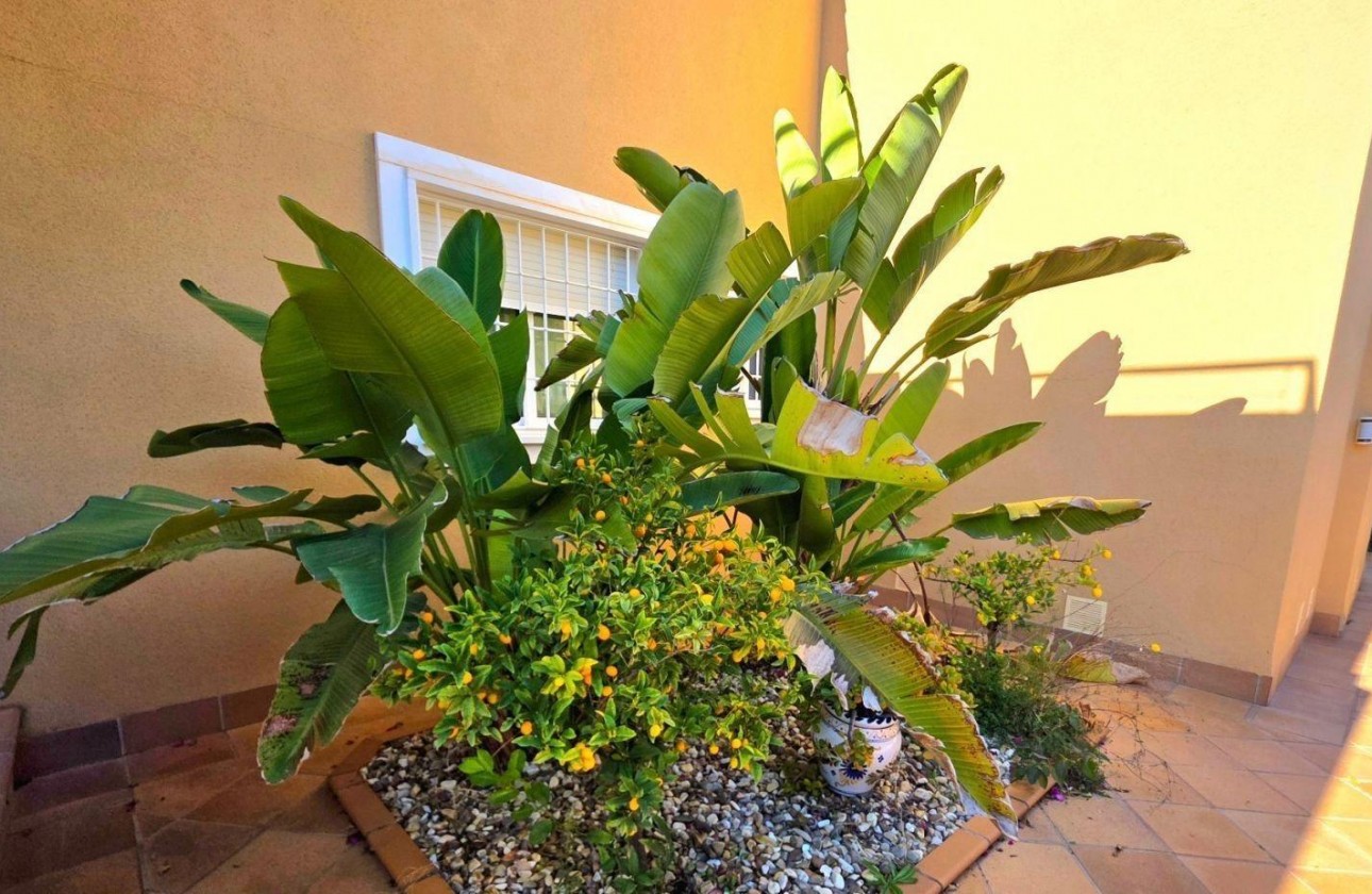 Revente - Villa - Dehesa de campoamor - Campoamor
