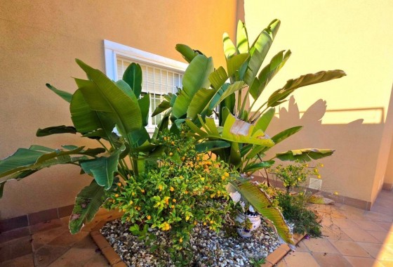 Revente - Villa - Dehesa de campoamor - Campoamor
