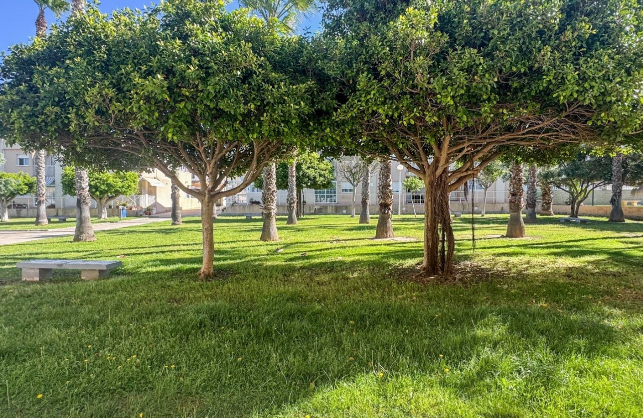 Revente - Duplex - Torrevieja - Nueva Torrevieja - Aguas Nuevas