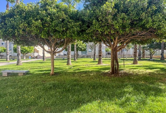 Revente - Duplex - Torrevieja - Nueva Torrevieja - Aguas Nuevas