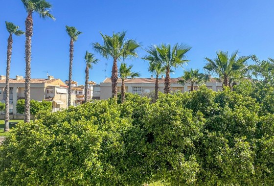 Revente - Duplex - Torrevieja - Nueva Torrevieja - Aguas Nuevas