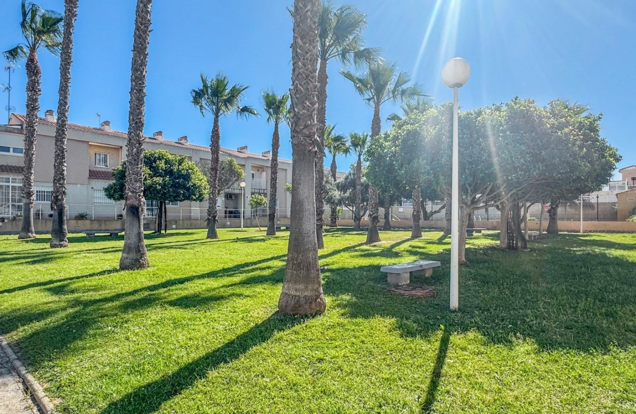 Revente - Duplex - Torrevieja - Nueva Torrevieja - Aguas Nuevas