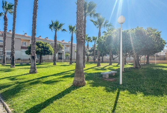 Revente - Duplex - Torrevieja - Nueva Torrevieja - Aguas Nuevas