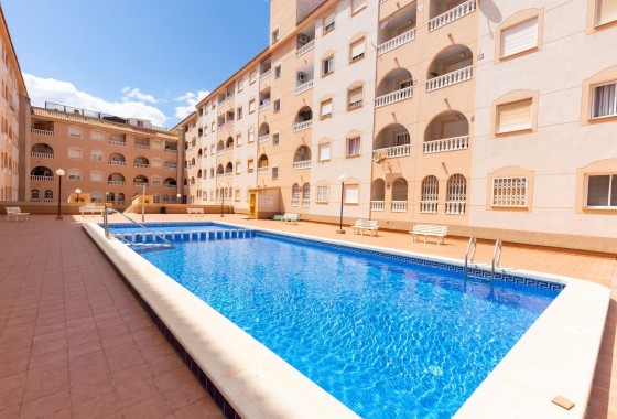 Revente - Appartement - Torrevieja - Estacion de autobuses