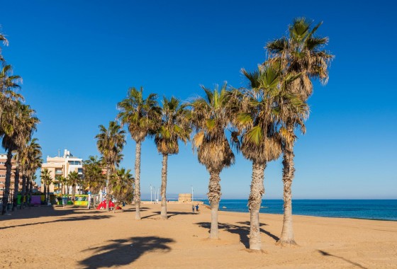 Reventa - Apartamento / piso - Torrevieja - Cabo cervera